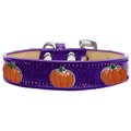 Pet Pal Pumpkin Widget Ice Cream Dog CollarPurple Size 14 PE856221